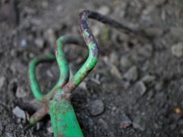 Kokie sodo įrankiai reikalingi sodo priežiūrai? Sodo įrankiai