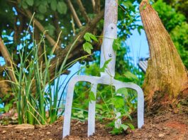 Sodo įrankiai: nuomotis ar pirkti? Sodo įrankiai