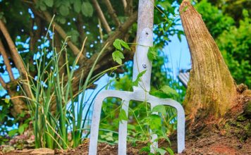 Sodo įrankiai: nuomotis ar pirkti? Sodo įrankiai