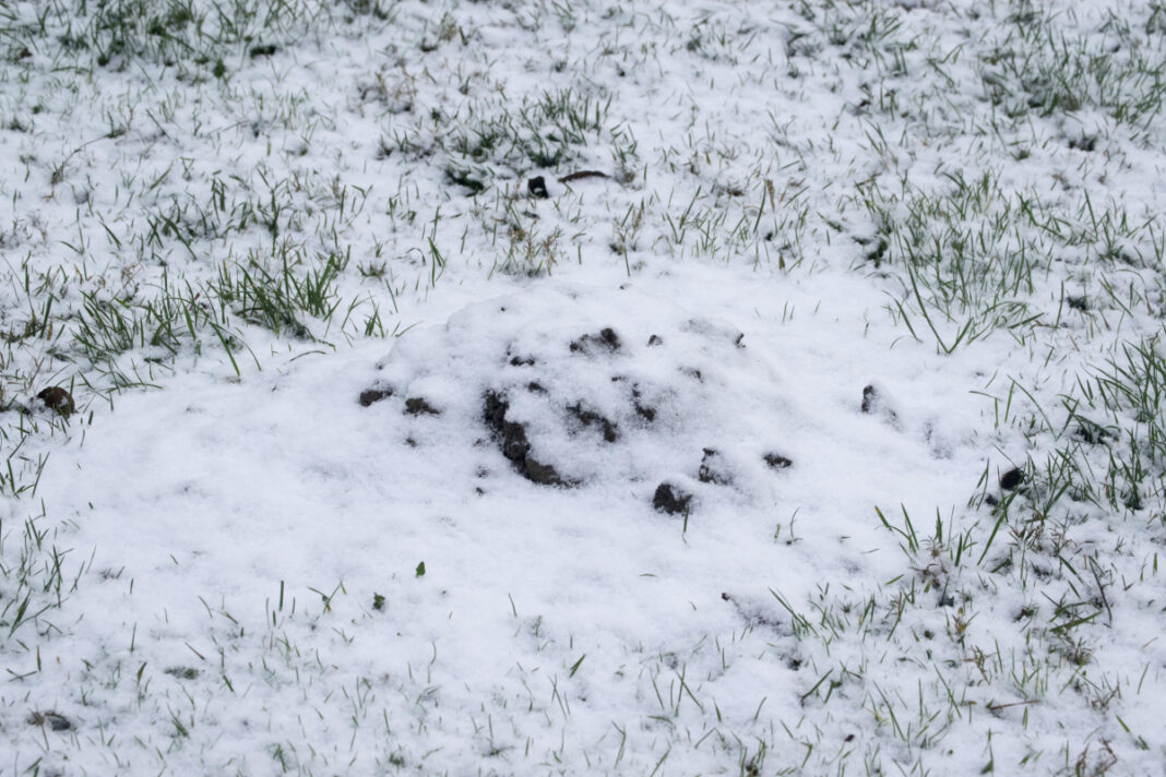 Unikalus sklypo numeris