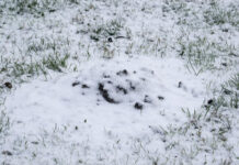 Kas yra unikalus sklypo numeris Unikalus sklypo numeris