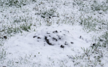 Kas yra unikalus sklypo numeris Unikalus sklypo numeris